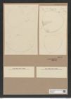 Stictodiscus sp. (de-Toni-Nr.: Genus 205) Zeichnungen Sammlung Grunow Nr. 9073 (NHMW-BOT-W0378823)